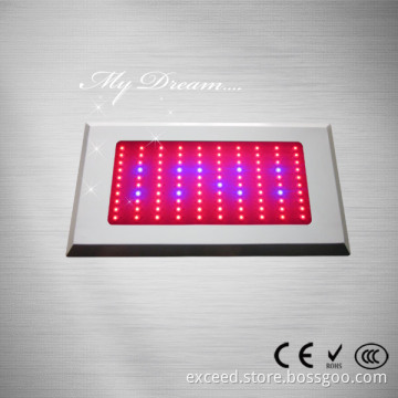 55pcs*3W Led Square Led Grow Light